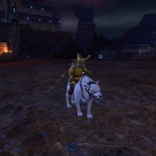 My shaman on his white wolf. He was very proud of that one.