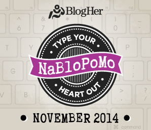 NaBloPoMo_November